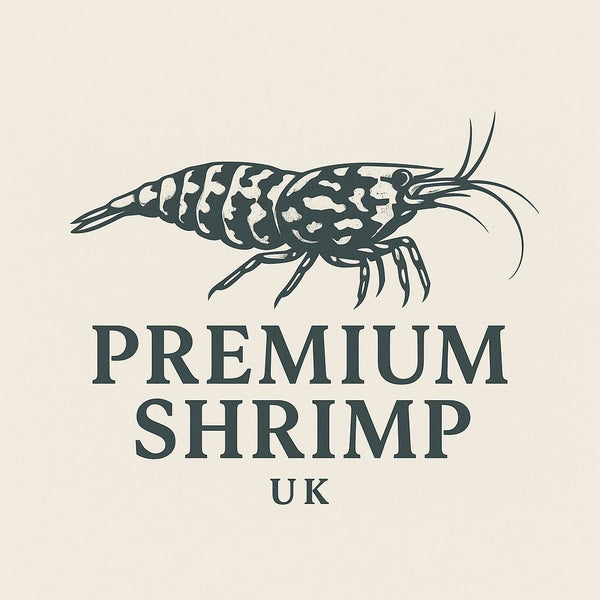 Premium Shrimp Uk