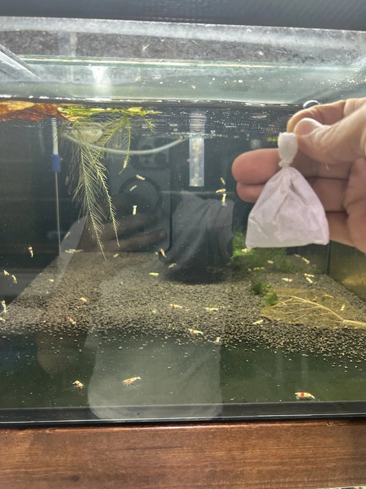 Premium Shrimp UK Lubao Bags