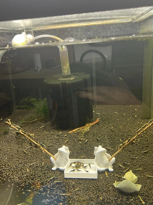 Shrimp Feeding Dish and Lolly Holder