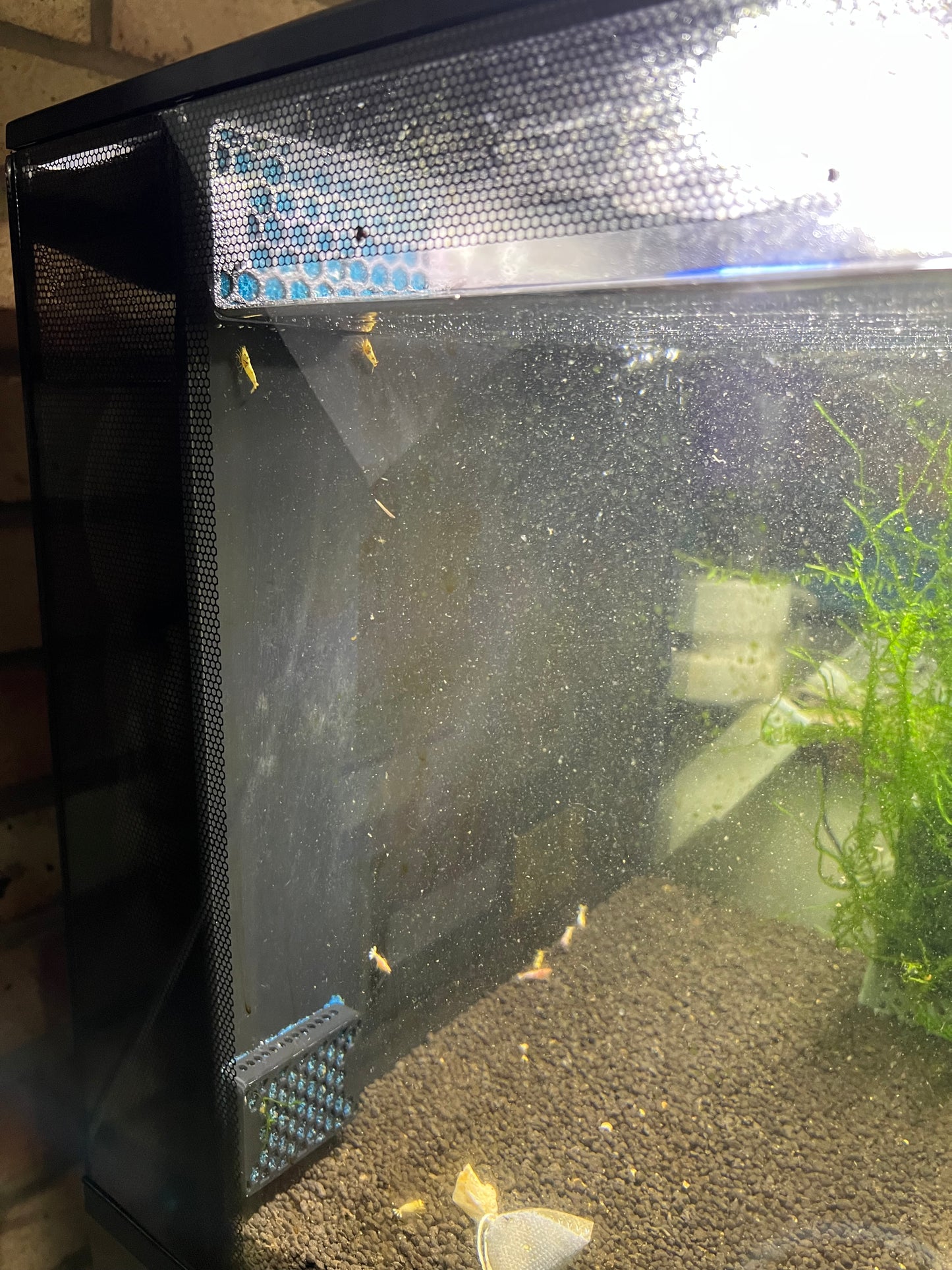 Fluval Flex 34L 57L Filter Intake Cover Shrimp & Fry Safe Guard Sponge Protector