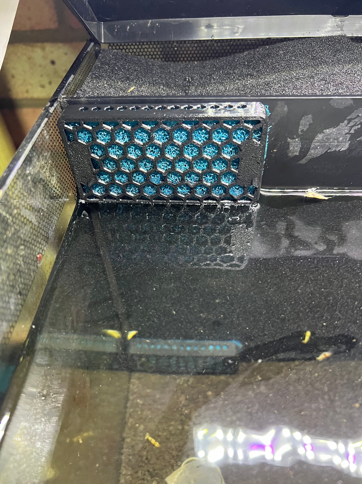 Fluval Flex 34L 57L Filter Intake Cover Shrimp & Fry Safe Guard Sponge Protector