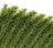 10 x Elodea Densa Oxygenating Pond Water Aquarium Live Plants