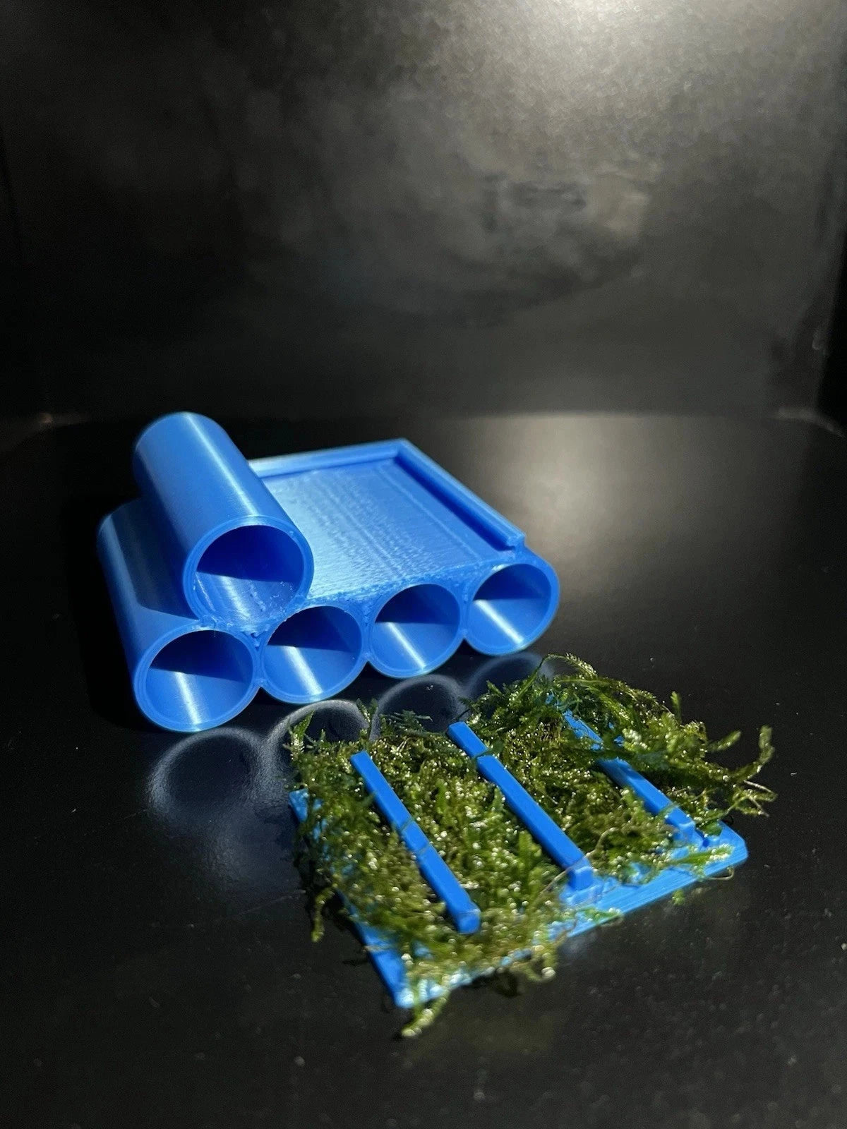 3D Printed Shrimp Cave & Moss Holder – Java Moss Included