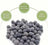 Grey Mineral Balls for Shrimp Snails Plecos Nerites Ramshorns
