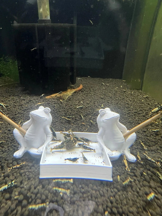 Shrimp Feeding Dish and Lolly Holder