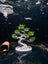 Live Moss Bonsai Tree Aquarium Decoration 3D Printed Shrimp Fish Tank Aquascape